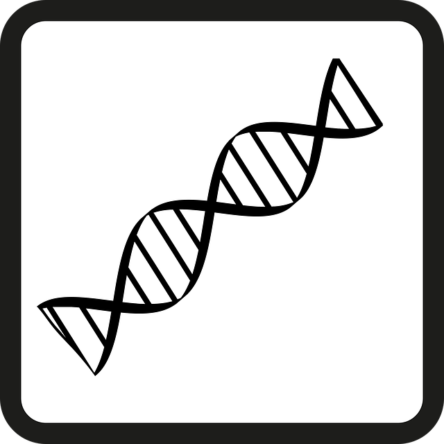 Tracie Boyle | Accredited Investigative Genetic Genealogist, Speaker & Media Contributor